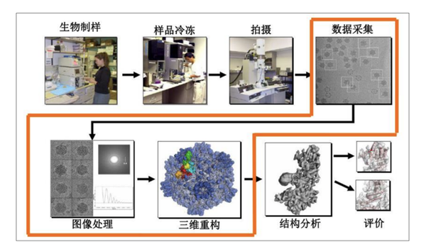 荣联冷冻电镜数据分析平台——助力生物医疗科研创新 - 知乎