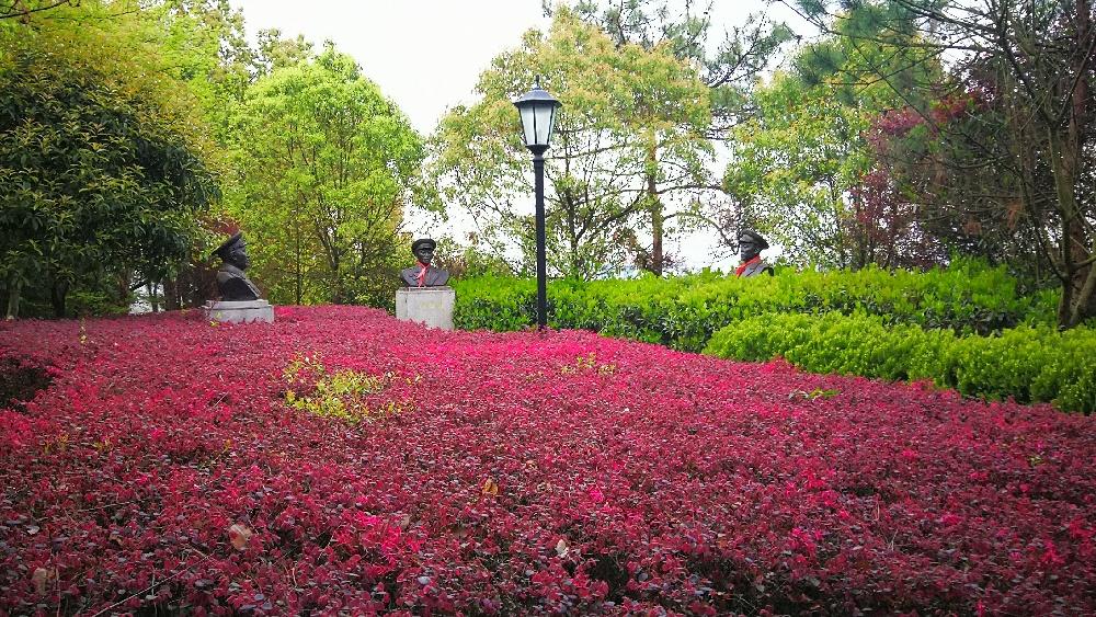 旅游在吉安:吉安县将军公园