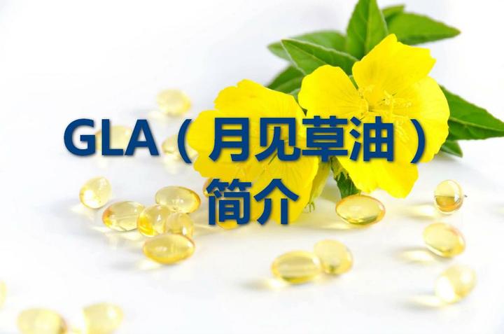 Gla 月见草油 简介 知乎