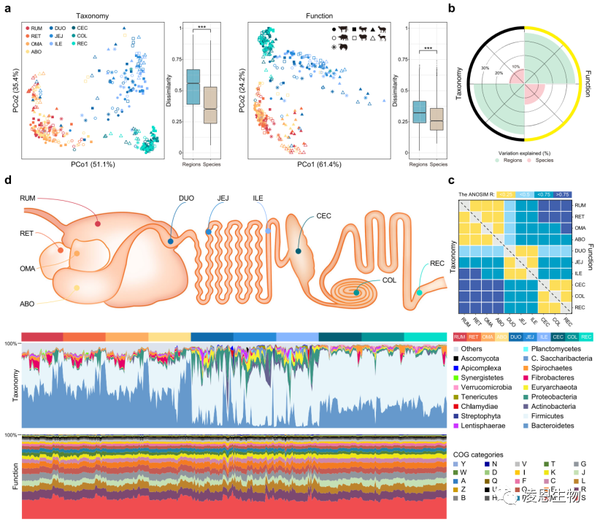 凌恩客户文章|《Microbiome》:宏基因组构建反刍动物全消化道超1万个MAGs新进展 - 知乎