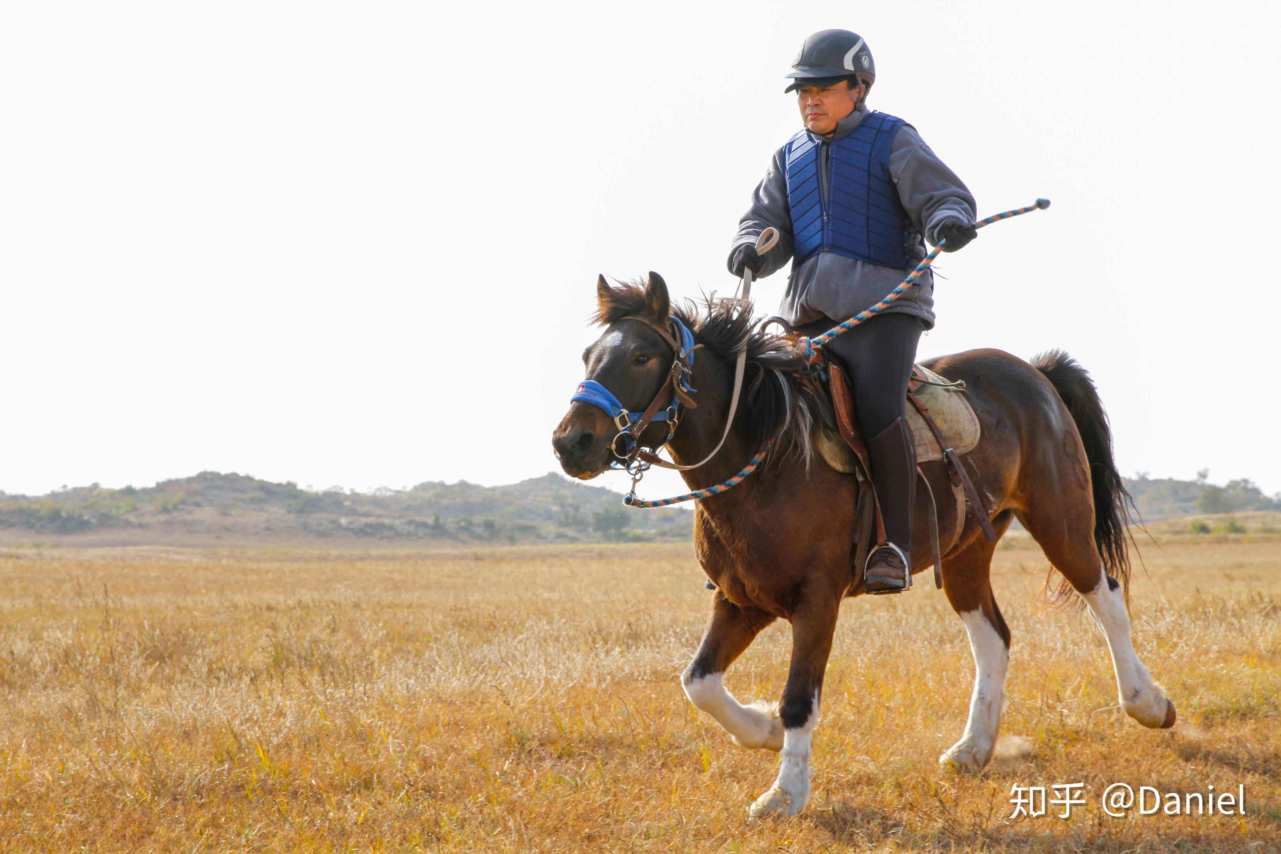 骑马旅行乌兰布统达里诺尔湖马背穿越
