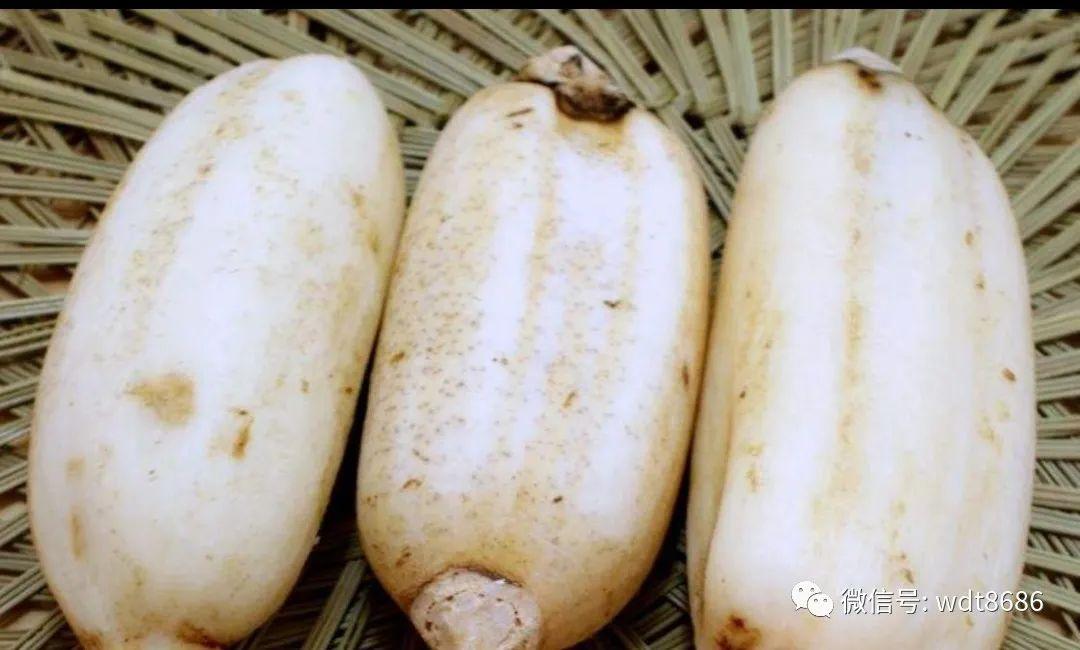 买莲藕时,如何区分糯藕和脆藕?牢记2个小技巧,回回不买错 - 知乎