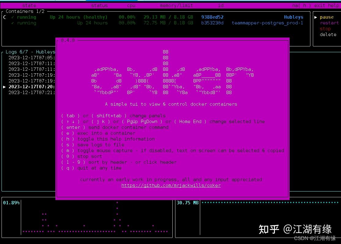  docker oxker 