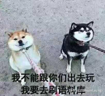 v2-8998c5372fbbceecf3a1cc98faff16f2_b.jpg