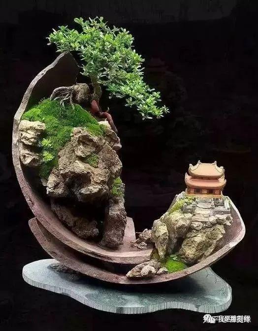 世界上最贵盆栽,一盆就是一座房子-最贵的盆景是什么品种