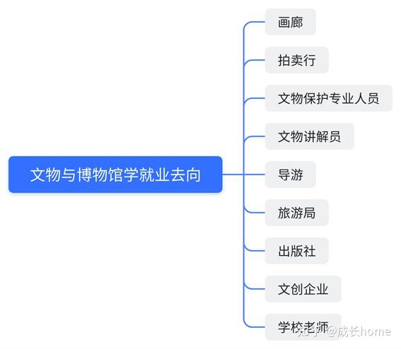 12,文物與博物館學的就業去向文創行業的生力軍,前途無量,前程無憂.