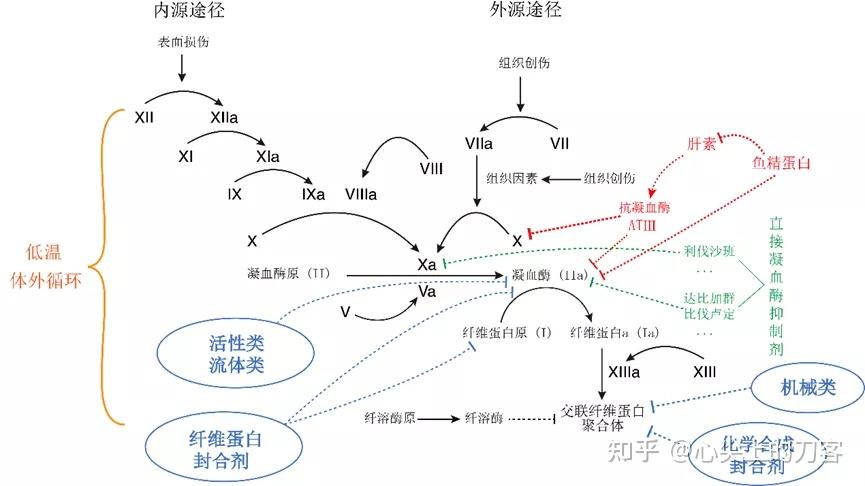 心脏大血管外科止血材料、药物及血液制品应用专家共识 - 知乎