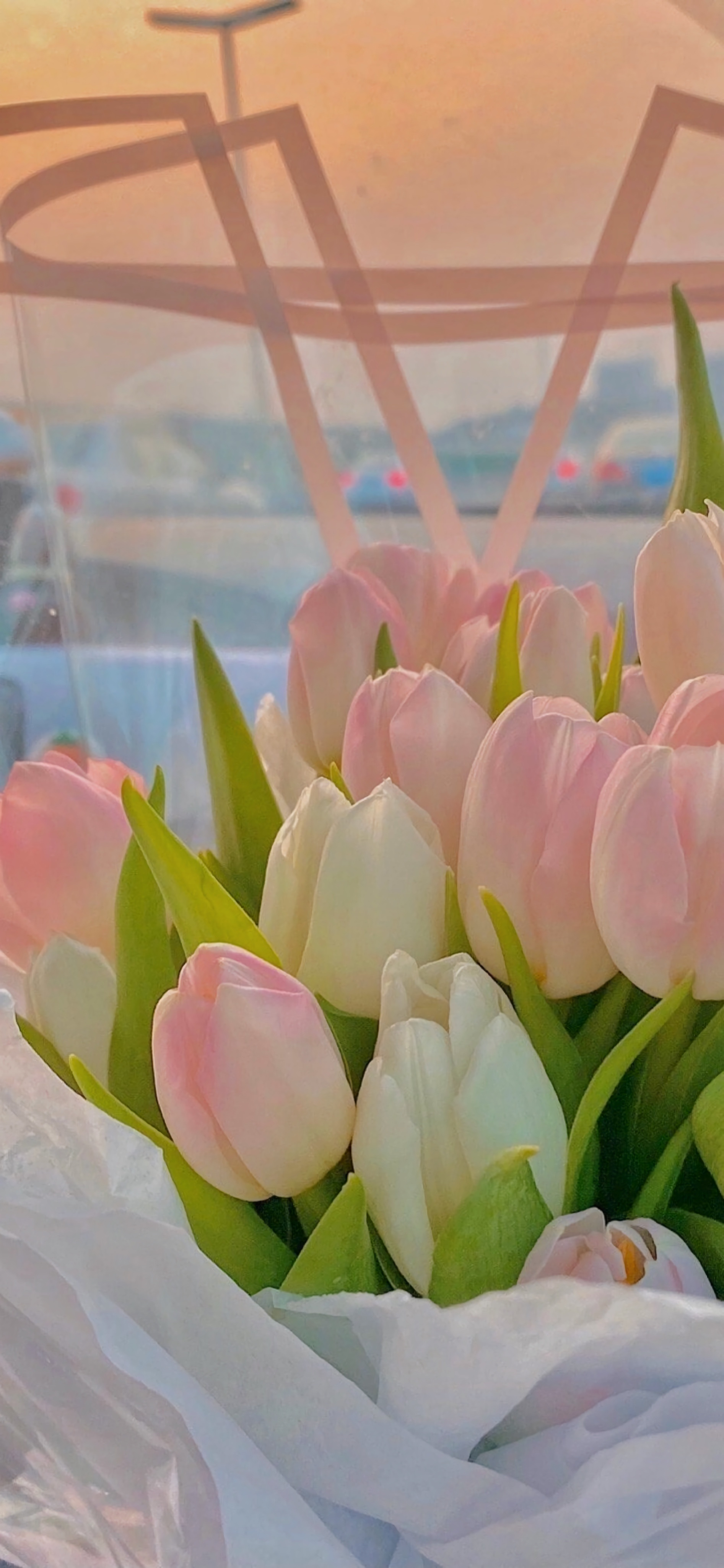 有哪些好看的全面屏手机壁纸或微信聊天背景图片?