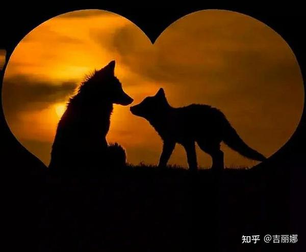 人狼传奇 五 知乎