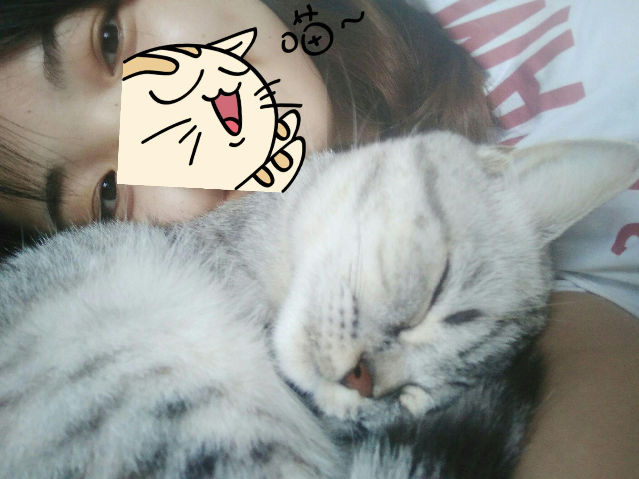 和猫一起睡觉的感受 v2-89c8dbbf10a5ea70b7f67a1606d9d914_r.jpg