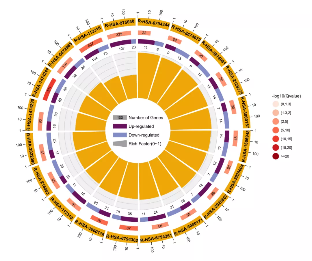 别搜啦关于富集分析你想知道的这里都有