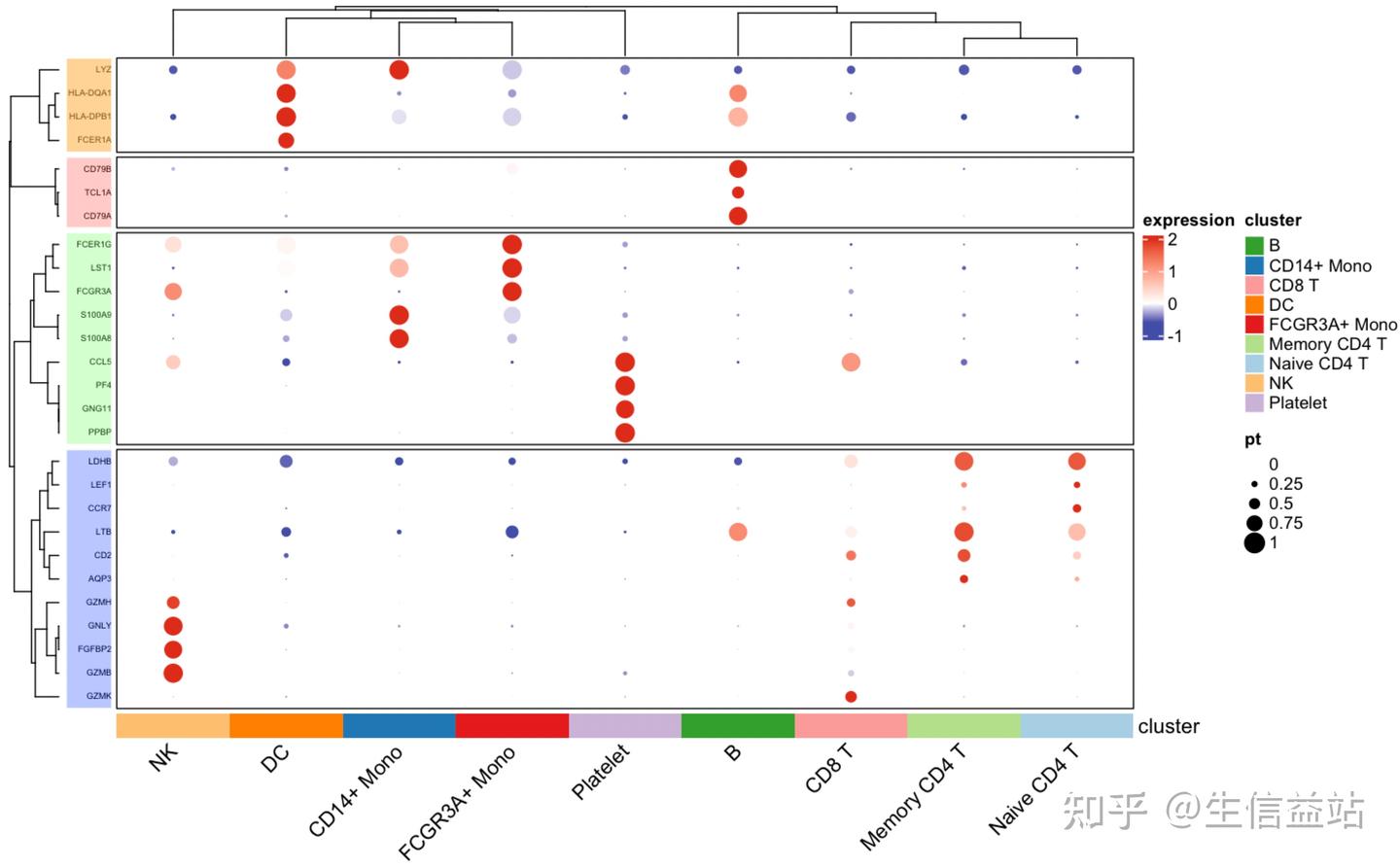R绘图技巧31| ComplexHeatmap版本的复杂DotPlot(二)——配色、网格与行装饰 - 知乎