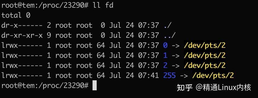 Linux Procedure File Linux内核:进程管理——进程文件系统 /proc详解 - 知乎