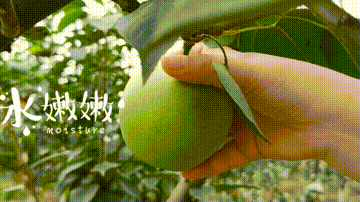 福利 | 好“梨”相送! - 知乎