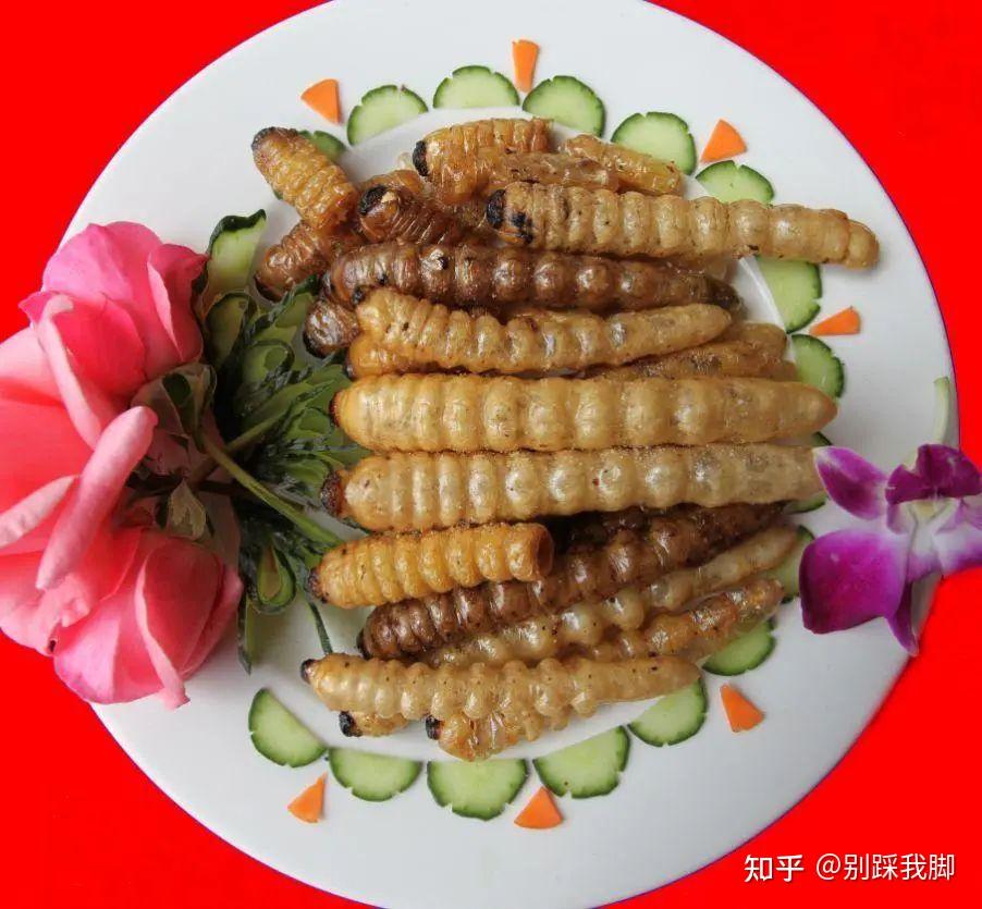 为食是危害中国咖啡树及许多树木的害虫柴虫学名叫做咖啡灭字脊虎天牛