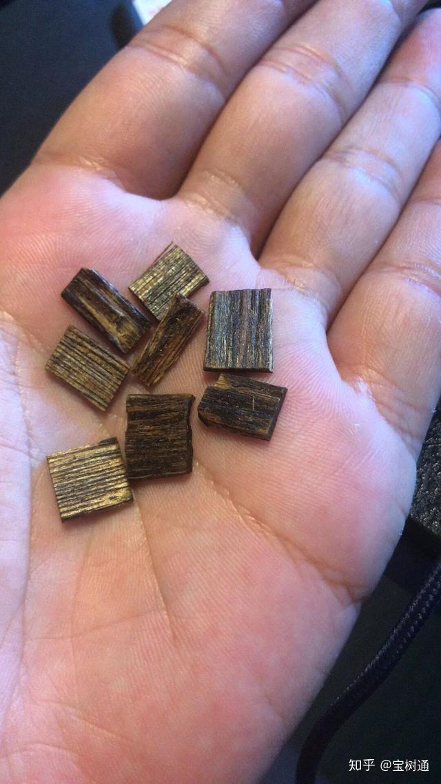 广东宝树通：世界最贵的香，日本叫“伽罗”，中国叫“奇楠”！ - 知乎