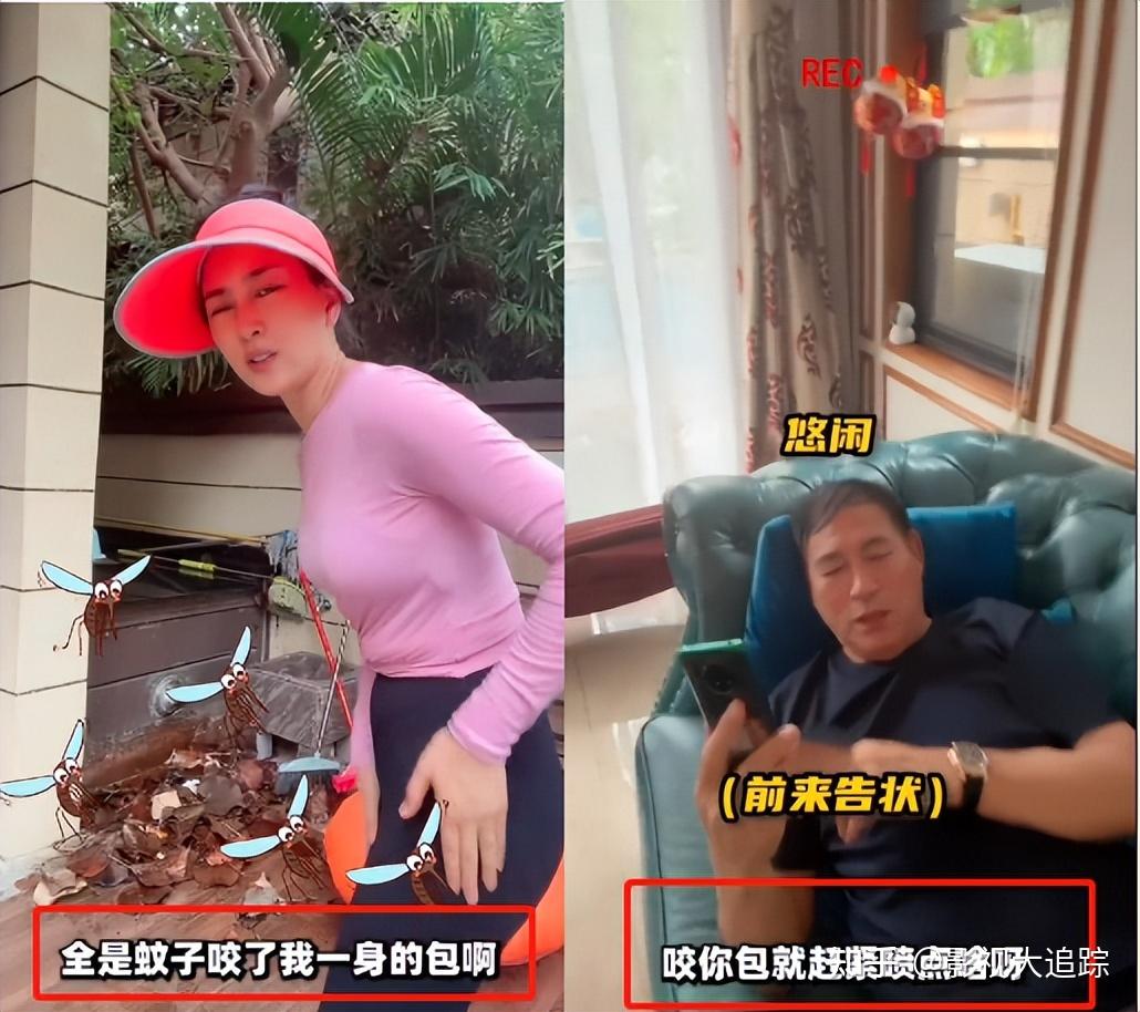 馬蘇海南豪宅首曝光因疫情在家幫父母幹活卻被蚊子咬的全身包