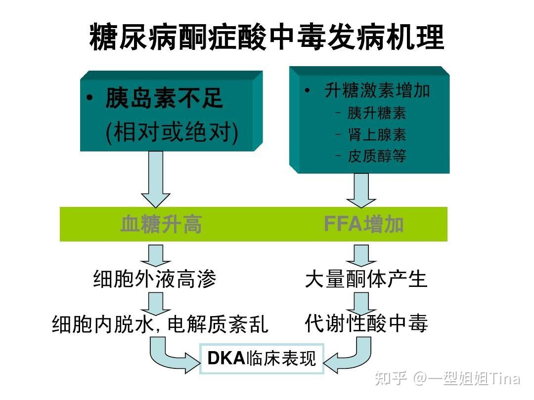 谈谈糖尿病中的“酮” - 知乎