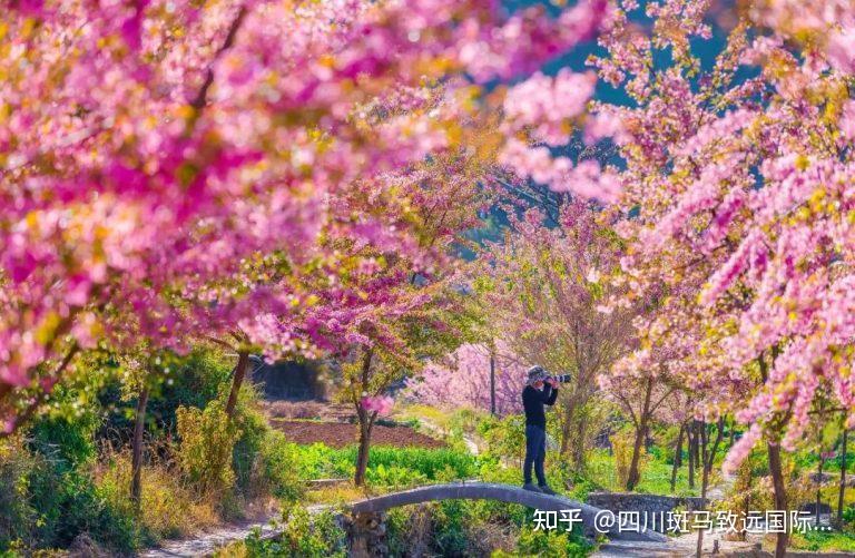 【攀枝花旅游攻略】四川攀枝花保姆级游玩攻略!景点、住宿 - 知乎