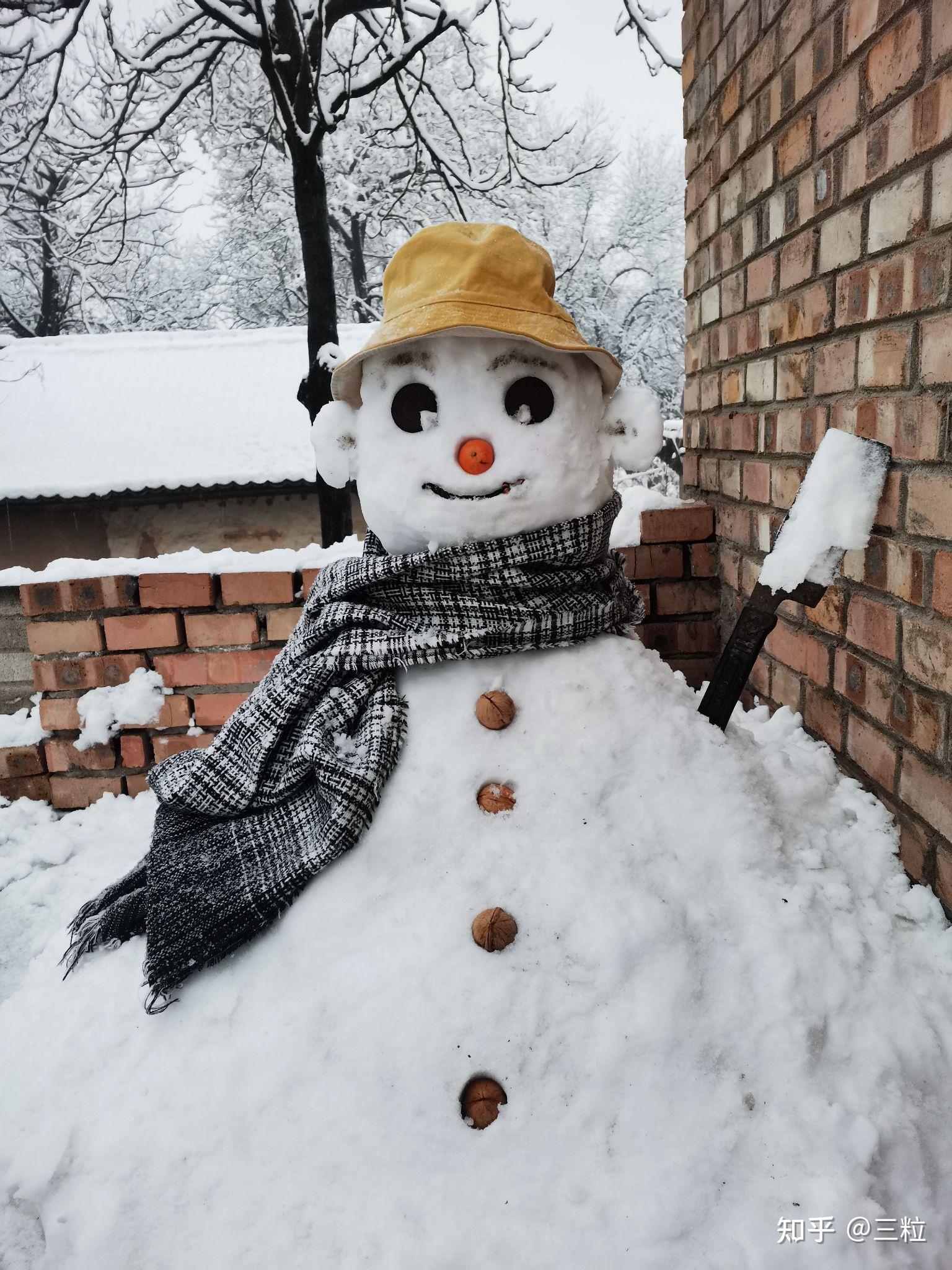 普通真雪人照片图片