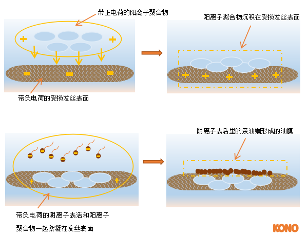 藏在洗发水中的絮凝技术你知道吗