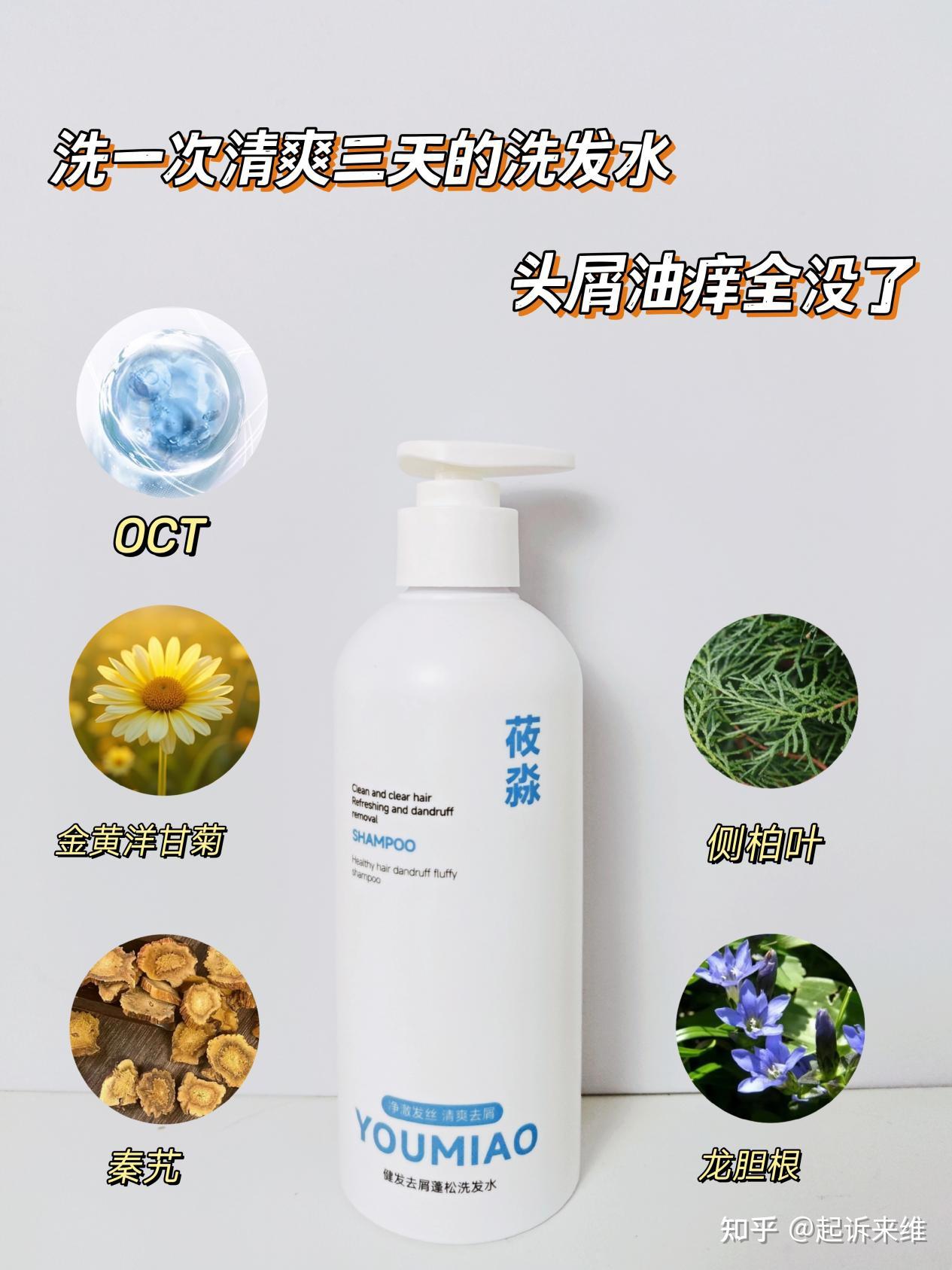 去屑止痒洗发水哪个牌子好?2026爆火去屑洗发水测评,哪款洗发水比较好用 - 知乎