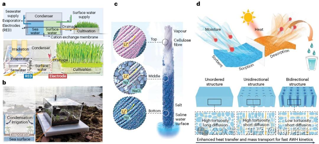 Functionalizing solar-driven steam generation towards water and energy ...