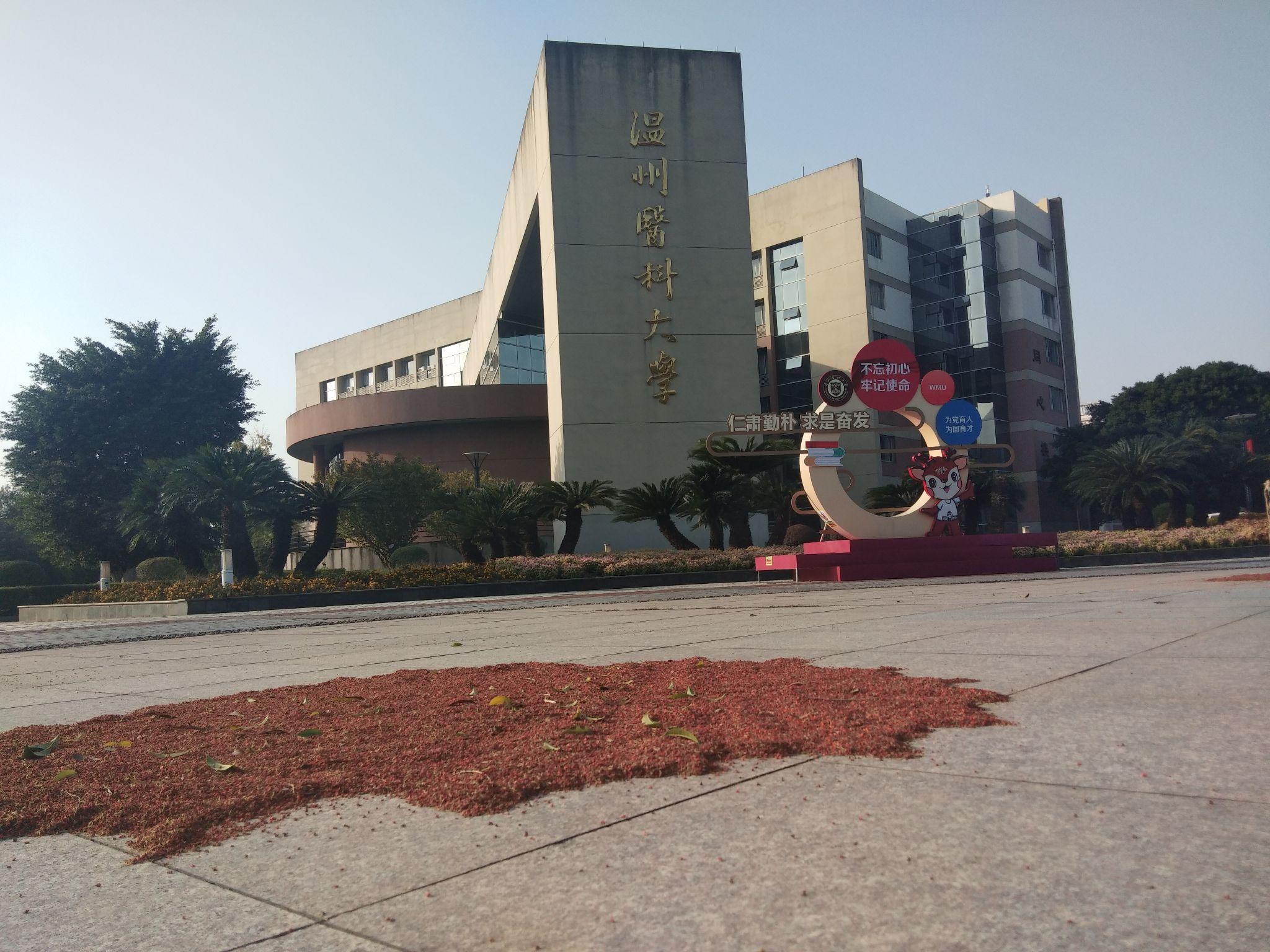 温州医科大学的校园环境如何