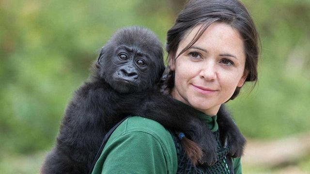 苏联科学家聘5名女性志愿者进行人与猩猩后代实验结果如何