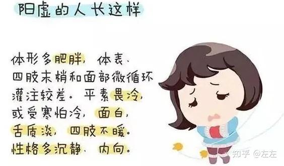 阳虚体质的人如何调理