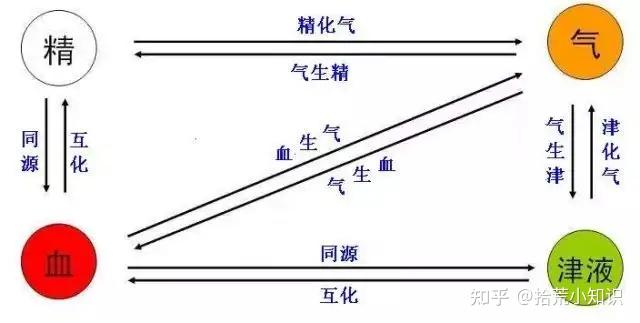 中医学课堂五——中医学中的精、气、血、津液 - 知乎