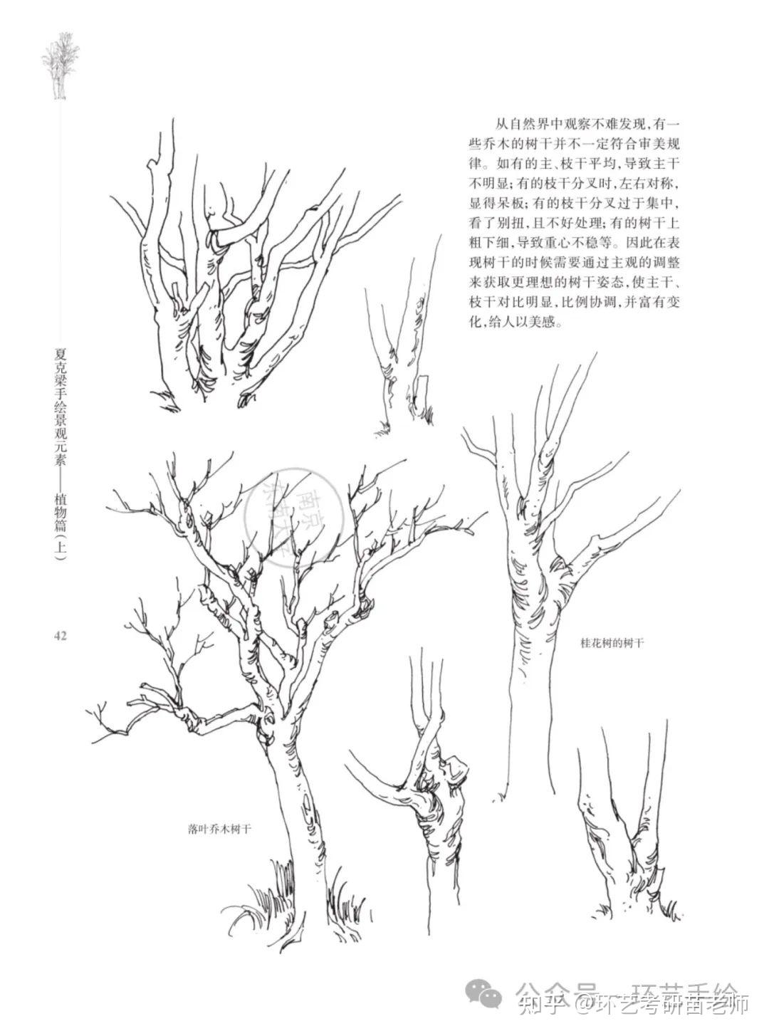 手绘临摹技巧图片