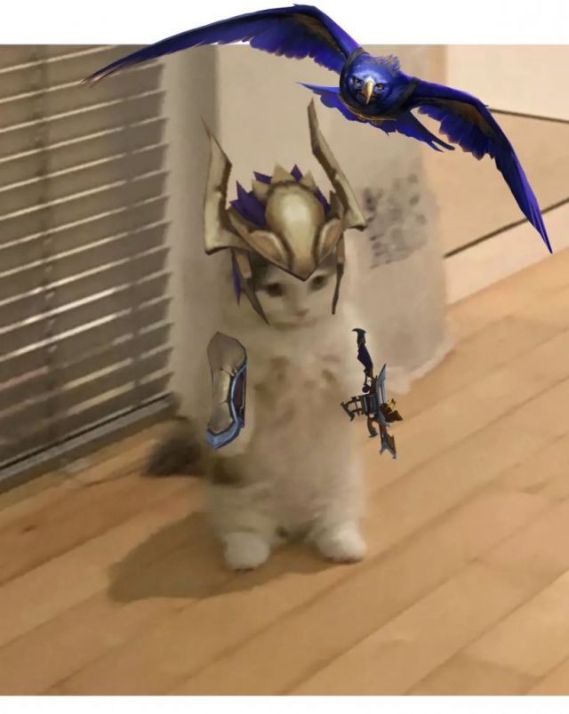 英雄联盟猫猫表情包第三期