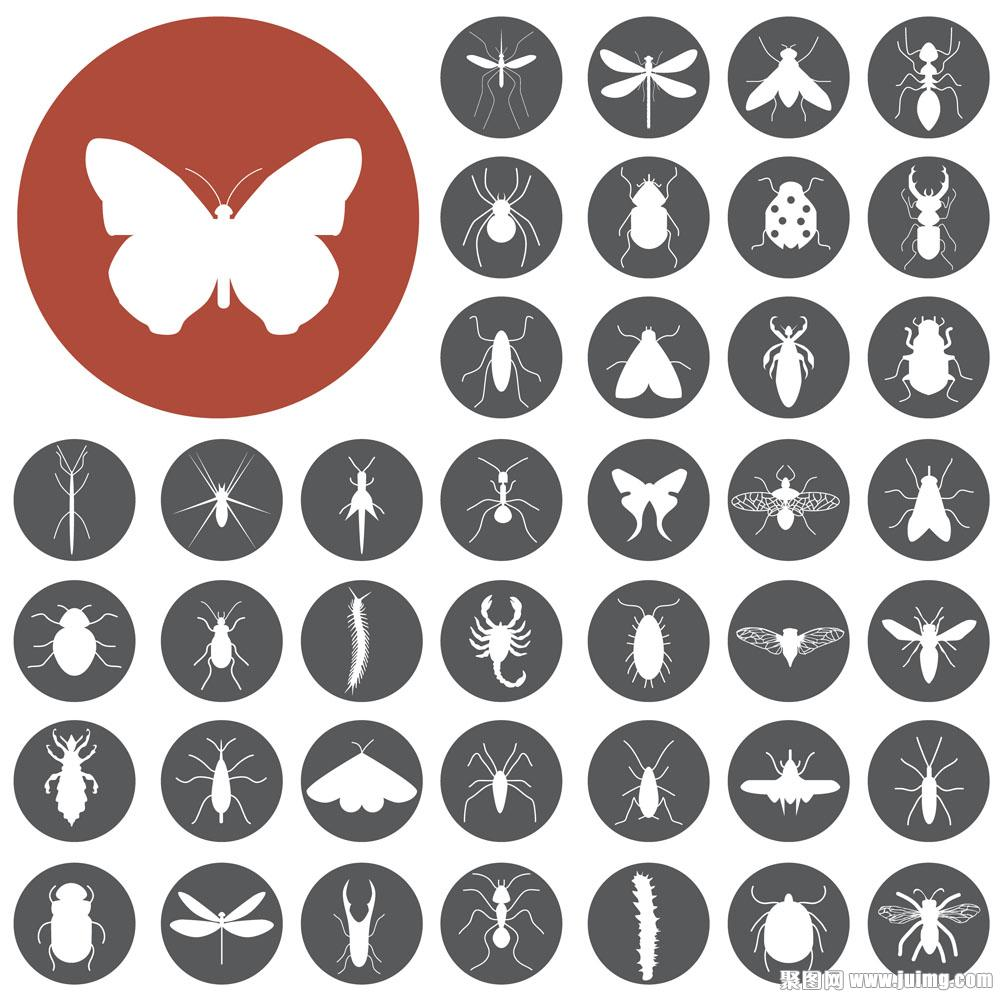 中汇设计昆虫标志设计