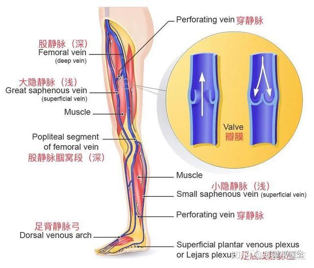 胜利之光 第一季