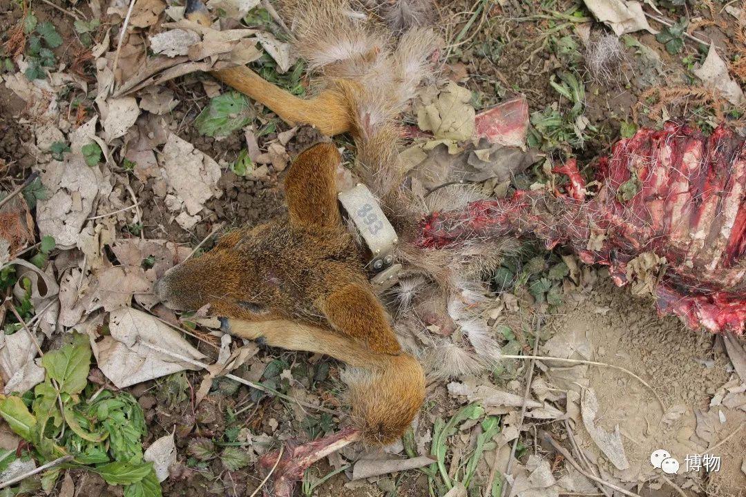 看看学这个专业的人都在干嘛吧 - 知乎