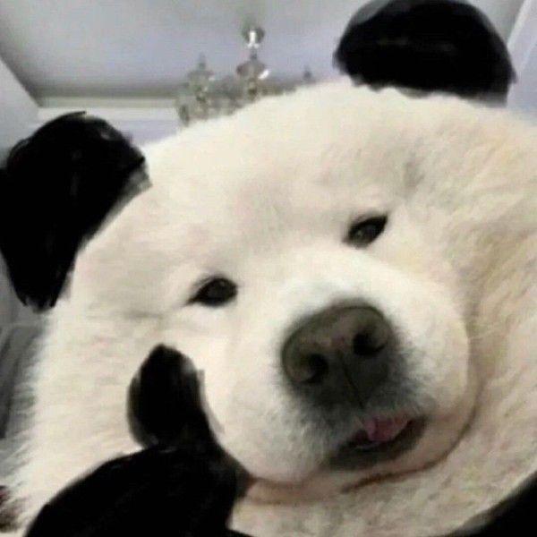 有没有一看就像脑子有病的文案? - 知乎