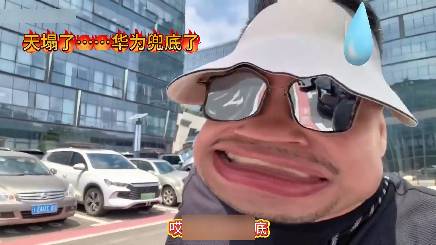 天塌了……华为兜底了……小喷子们大型集体破防现场……#智驾 #华为
