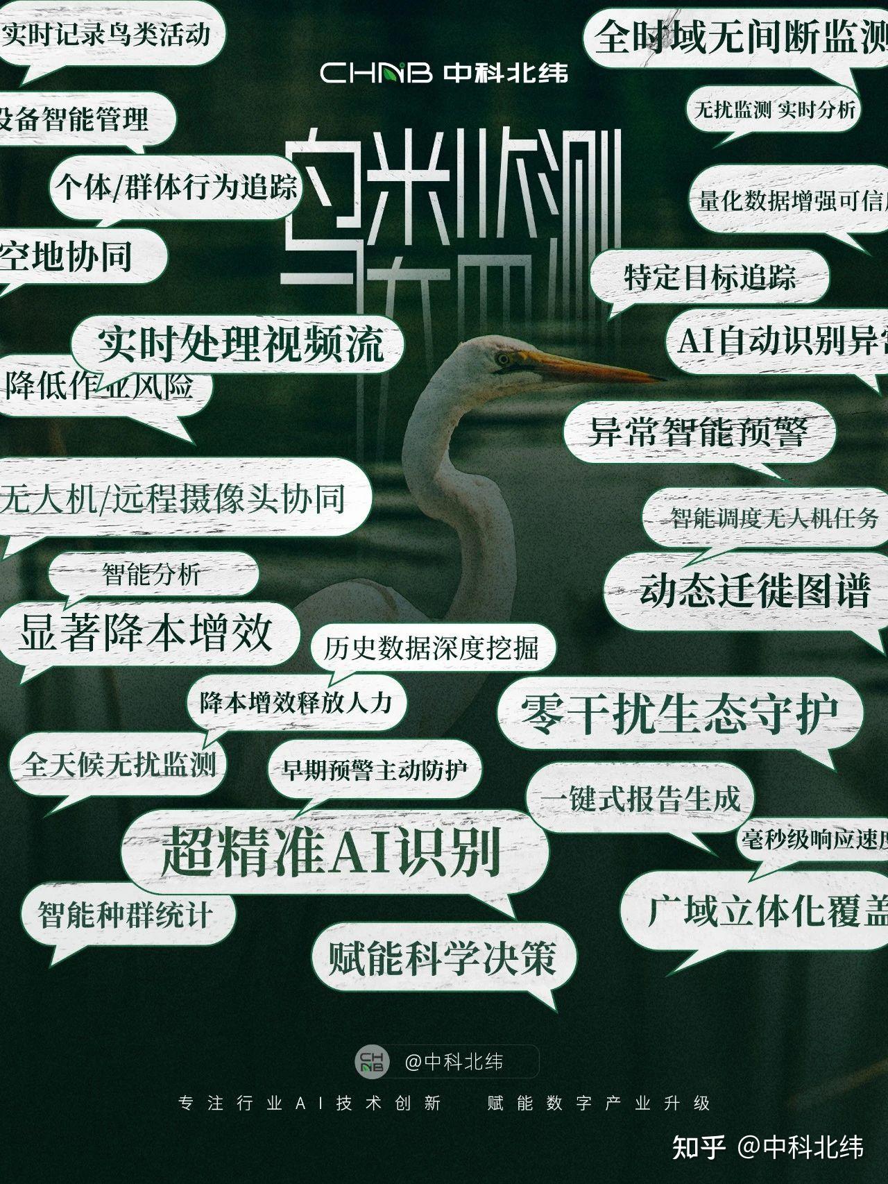 “鸟”算不如天算？天算不如我“高清偷看” - 知乎