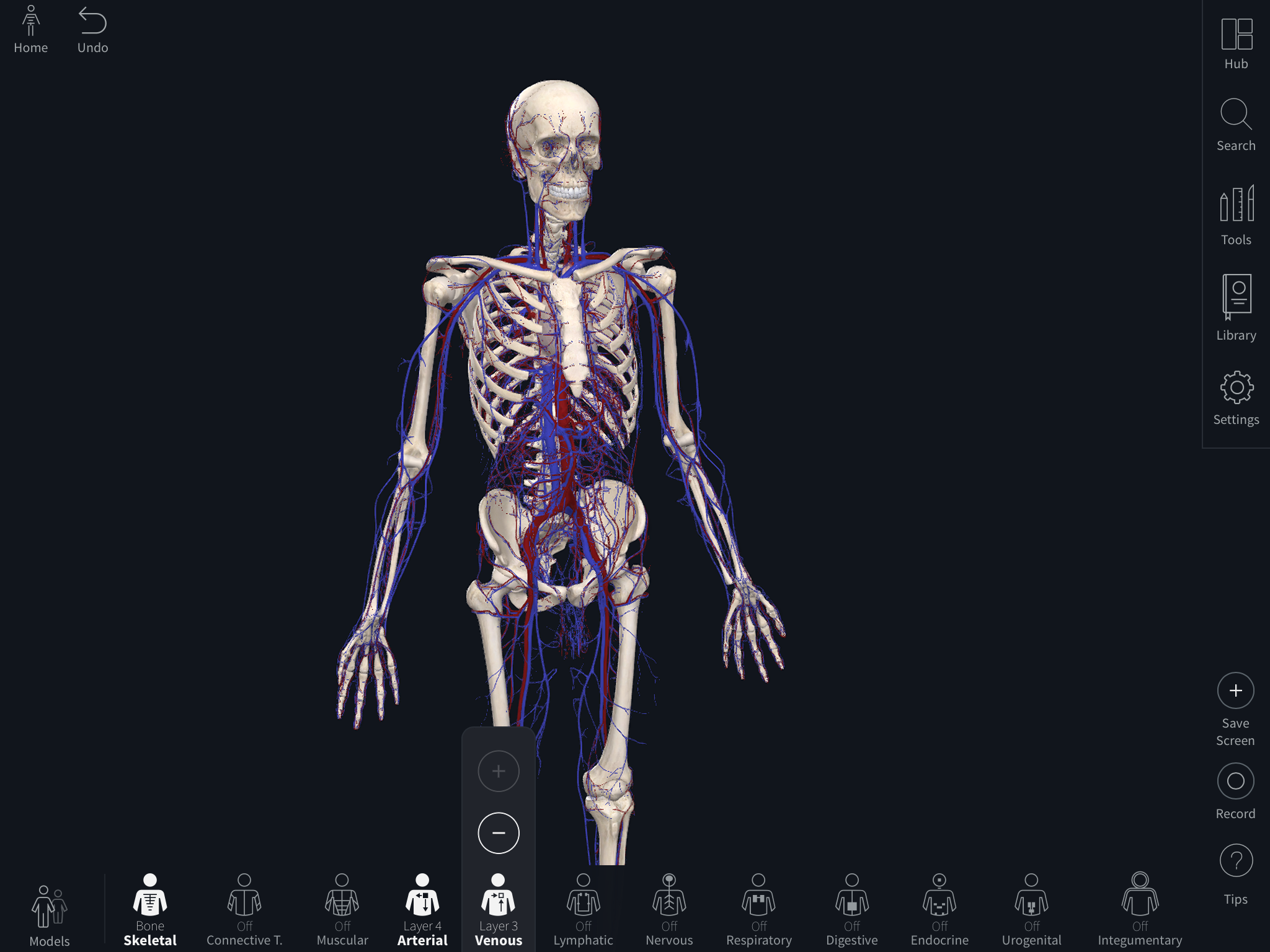 科技人体骨骼图|平面|宣传品|TCR2017 - 原创作品 - 站酷 (ZCOOL)