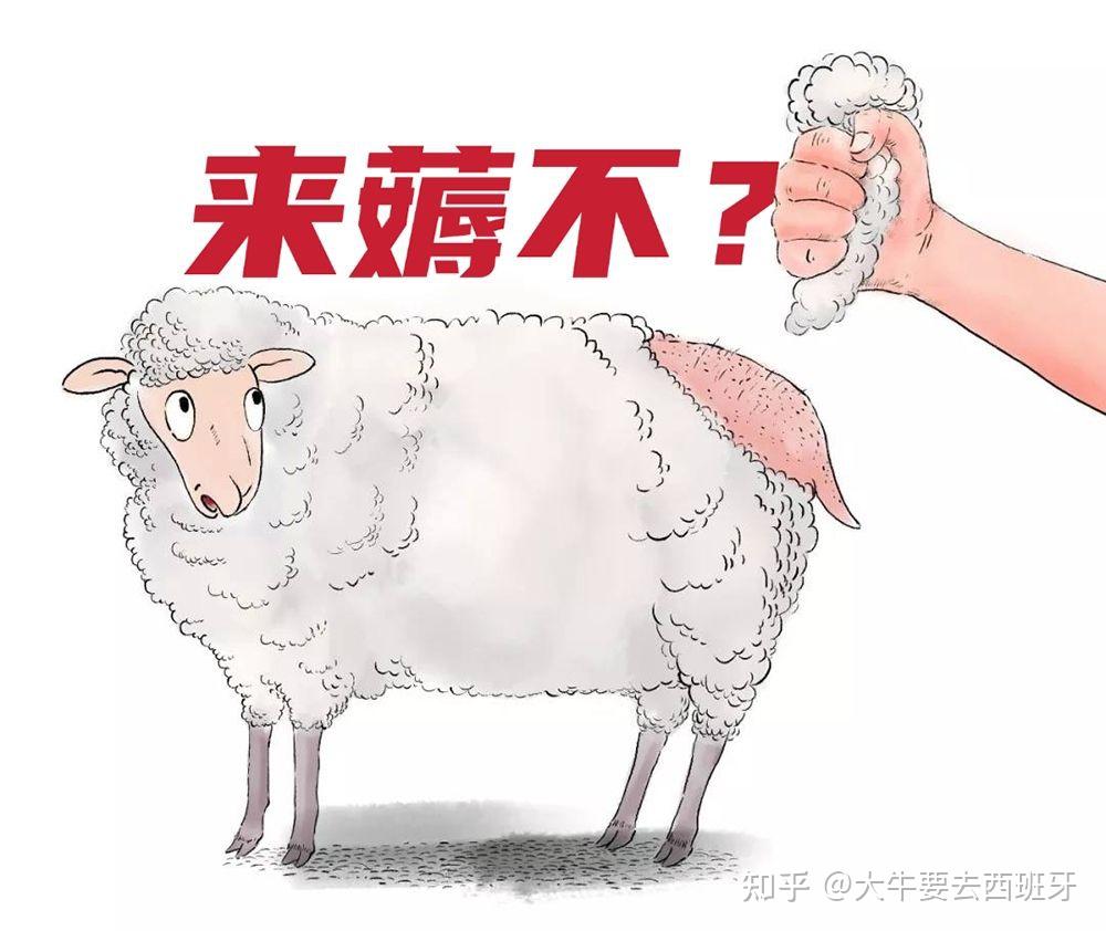 资本主义羊毛不薅白不薅