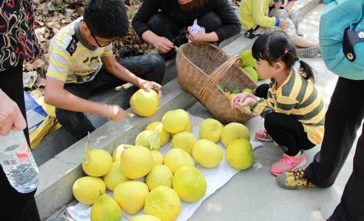 擺地攤賣水果的竅門如何建立穩定客群