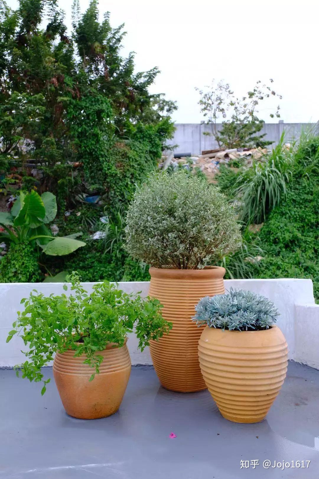 从无到有的楼顶天台绿植设计承载了太多美好