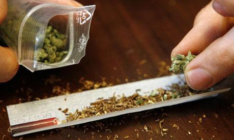 大麻 游走在法外之地的 社交毒品 知乎 大麻 游走在法外之地的 社交毒品 知乎