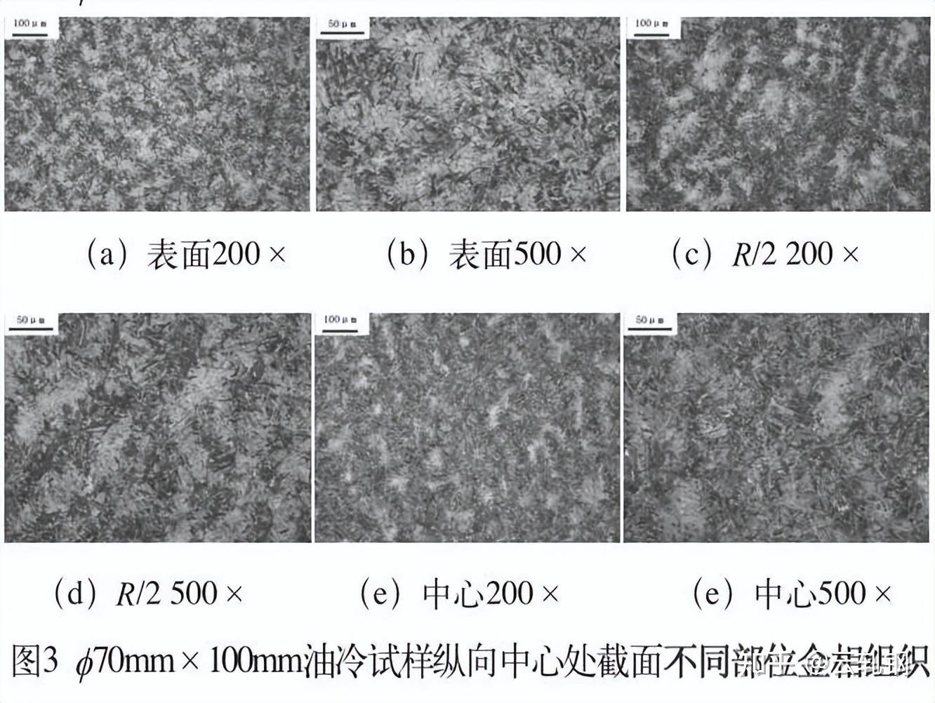 T10钢组织图片