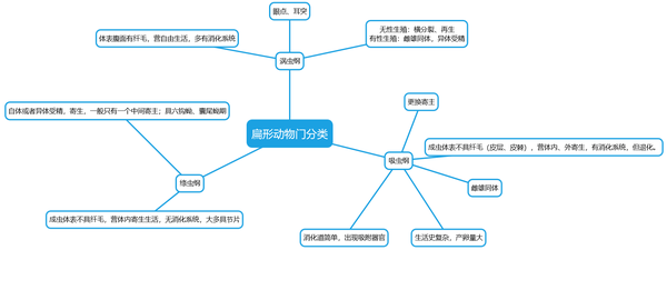 动物学期末总结