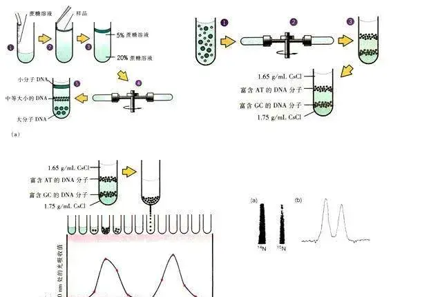 实验室离心机都有哪几种常用的离心分离法_化工仪器网