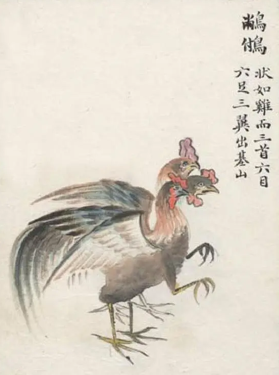 基山中的---猼訑、𪁺𩿧 - 知乎