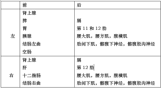 对叶肾的功效与作用图片