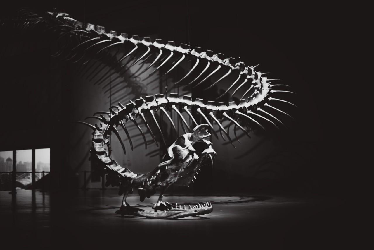 黄永砯作品《蛇杖》黄永砯先生生前接受国内采访,末了说了这样一段